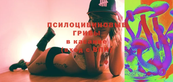 бошки Аркадак