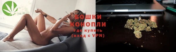 бошки Аркадак