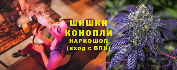 бошки Аркадак