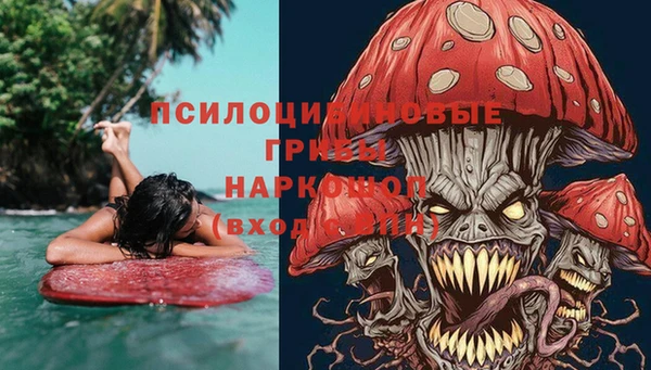 бошки Аркадак