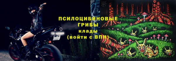 дживик Армянск