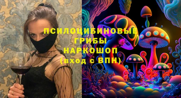 бошки Аркадак