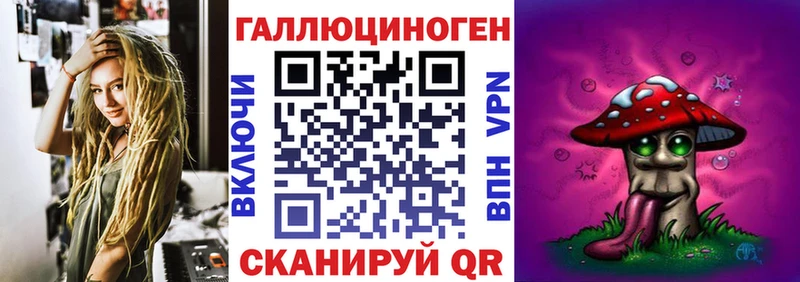 Галлюциногенные грибы Psilocybine cubensis  Бакал 